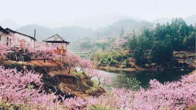 中國的桃花源和西方的烏托邦，是全人類的精神遺產(chǎn)